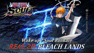 Bleach: Soul Bankai - Screenshot 1