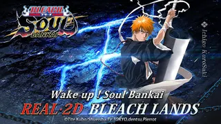 Bleach: Soul Bankai - Screenshot 1