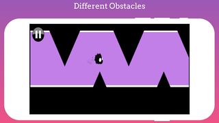 Furry Birds : The Premium Game - Screenshot 2