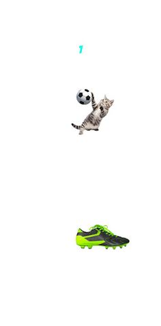Cat Sports - Screenshot 2