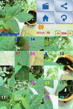 Sliding Picture Puzzle - Screenshot 3