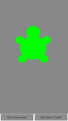 Spicy Turtle - Screenshot 3