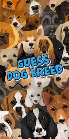 dog breed quiz - Screenshot 1