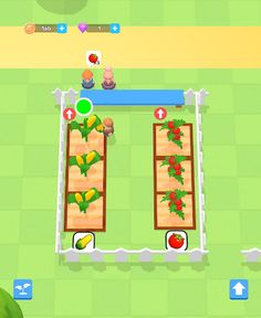 Farm Venture - Screenshot 1