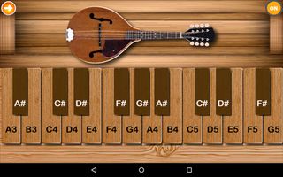 Professional Mandolin Elite - Screenshot 3