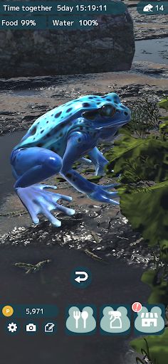 Frog Friends - Screenshot 4