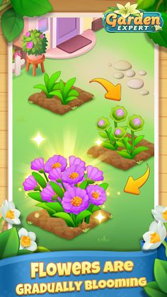 Garden Expert - Screenshot 3