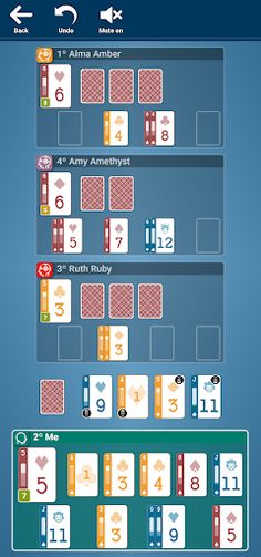 Skip-2-Go Premium - Screenshot 3