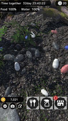 Roly-Poly Friends - Screenshot 4