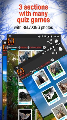 Animal weight Quiz - trivia - Screenshot 2
