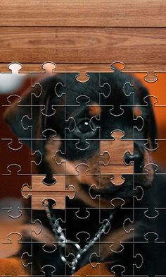 Dogs Jigsaw Puzzle Games - Screenshot 3