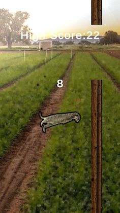 Meerkat - Screenshot 3