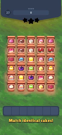 Hidden Pair! - Screenshot 2