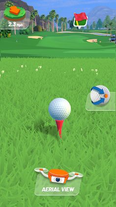 Pro Golf - Screenshot 1