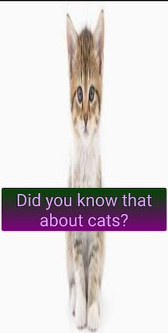 interesting facts - Screenshot 2