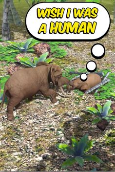 Evolution Match - Screenshot 1