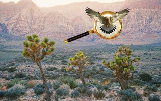 Bird Kingdom - Hidden Object - Screenshot 1