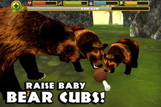 Wildlife Simulator: Bear - Screenshot 3