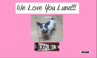 WeLoveYouLuna - Screenshot 2