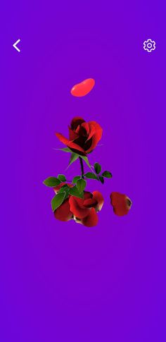 Loves or Not loves - Screenshot 4