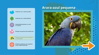 Defensores dos Biomas - Screenshot 2