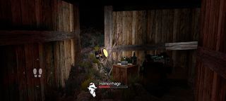 Vanish Falls Part II - Screenshot 3