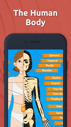 Human Anatomy - Body parts - Screenshot 1