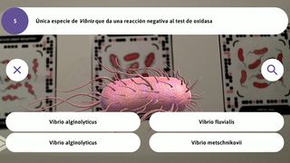 Microtriv - Screenshot 2