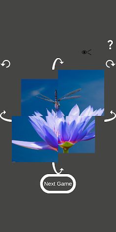 Hexapic Twist - Screenshot 3