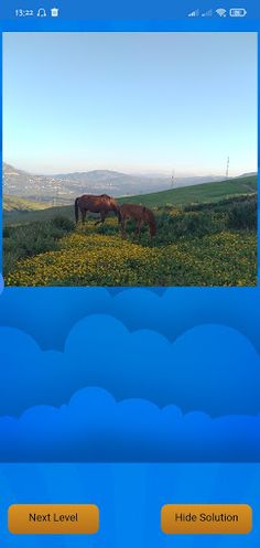 GameHidden - Screenshot 2