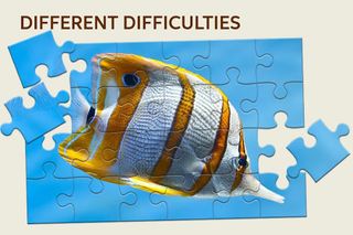 Sea Animals Jigsaw Puzzle - Screenshot 2