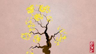 CalligraTree - Screenshot 3