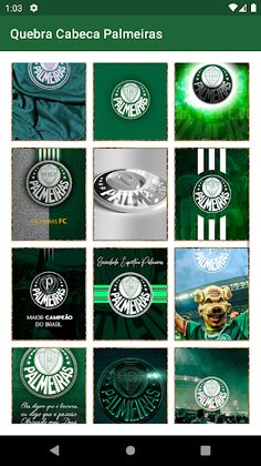 Palmeiras Jigsaw Puzzles - Screenshot 3