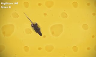 Cat Playground - Game for cats - Screenshot 1