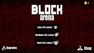Block Arena - Screenshot 2