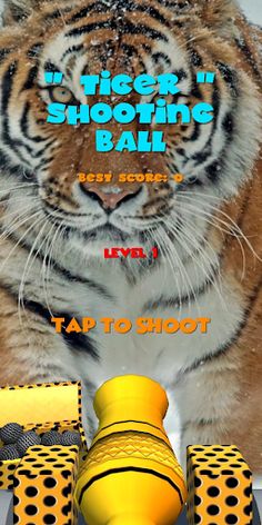 Tiger Shooting Ball - Screenshot 1