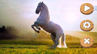 پازل اسب وحشی - Screenshot 1