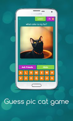 Guess Cute Cat Game - Screenshot 4