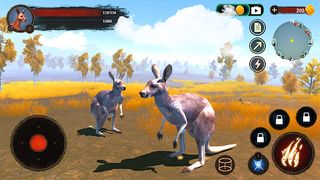 The Kangaroo - Screenshot 3