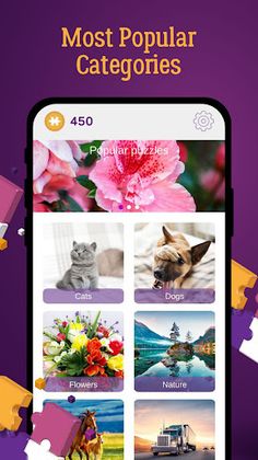 Jigsaw Craze Puzzles - Screenshot 1