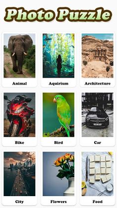 RH Puzzle Photo - Screenshot 3