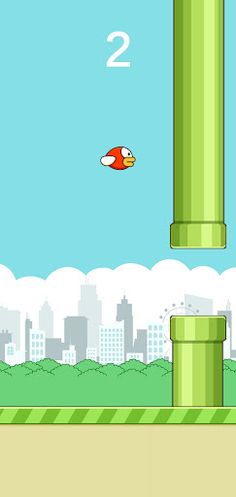 HSBird - Screenshot 1