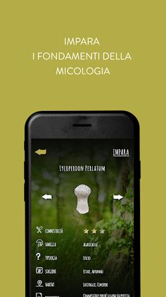 iMico - Screenshot 1