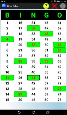 Bingo Caller - Screenshot 4