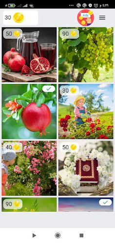 Jigsaw Puzzle - Screenshot 1