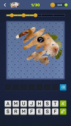 Clean the Picture - Screenshot 1