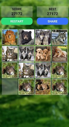 Animals 2048 - Screenshot 1