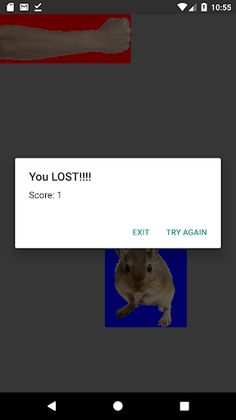 Kistochka - pet mouse survival - Screenshot 2