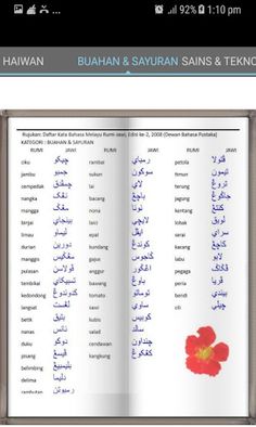 Cari Kata Jawi - Screenshot 4