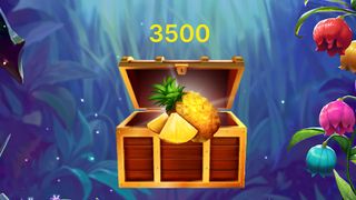 Exotic Fruit - Screenshot 2